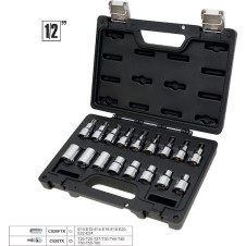 Beta Καρυδάκια με Μύτες Torx και Καρέ Υποδοχής 1/2'' Σετ 17τμχ (B009231017)