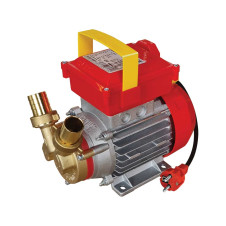 ΗΛΕΚΤΡΑΝΤΛΙΑ ROVER 25 CE 0,8HP 2850rpm (102102)