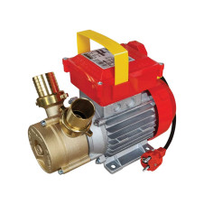 ΗΛΕΚΤΡΑΝΤΛΙΑ ROVER 35 CE 1HP 2850rpm (102105)