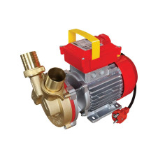 ΗΛΕΚΤΡΑΝΤΛΙΑ ROVER 40 CE 1HP 1450rpm (102106)