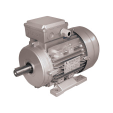 ΗΛΕΚΤΡΟΚΙΝΗΤΗΡΑΣ PLUS 4HP 2800rpm 380V MS 100L1-2 (207133)