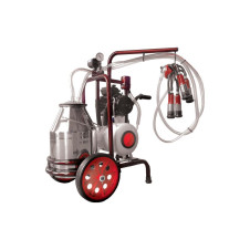 ΑΜΕΛΚΤΙΚΗ ΚΙΝΗΤΗ 1 ΑΓΕΛΑΔΟΣ 0,75ΗΡ (211101)