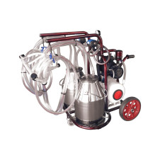 ΑΜΕΛΚΤΙΚΗ ΚΙΝΗΤΗ 4 ΠΡΟΒΑΤΩΝ 1ΗΡ (211102)