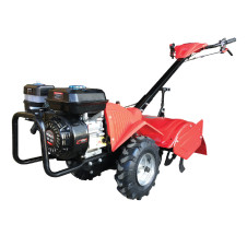 ΦΡΕΖΑ MIYAKE FR65 R (212328)