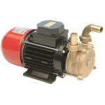 Ηλεκτραντλία Ορειχάλκινη 0.3Hp 24V TELLARINI (11.237.520)